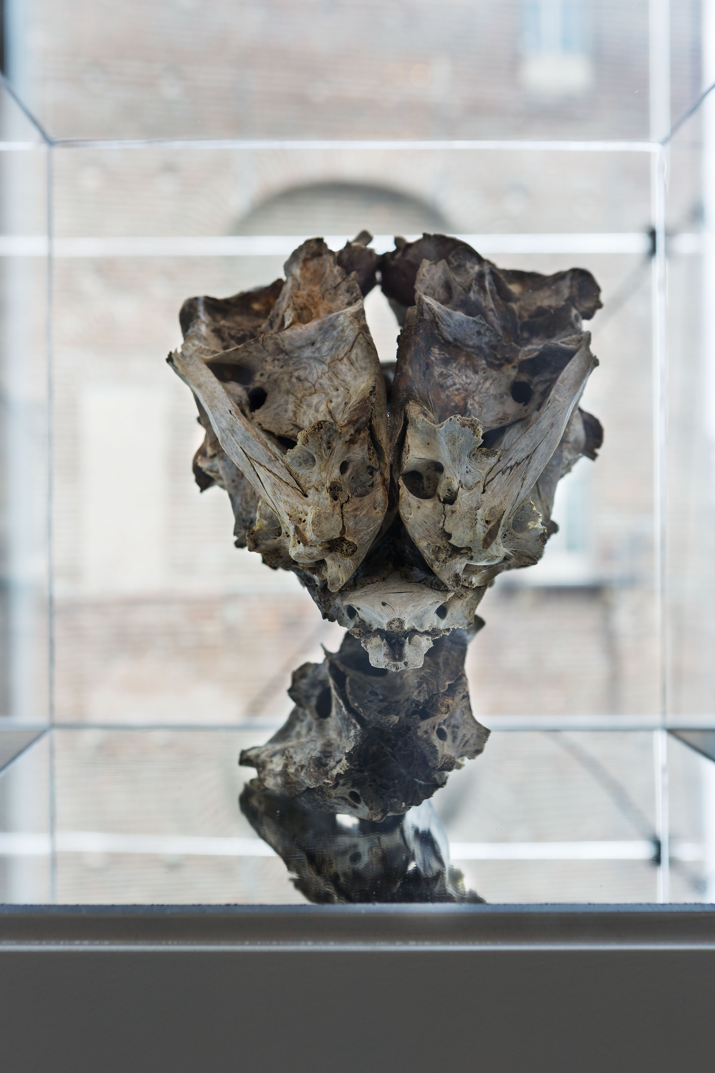 Giorgio Andreotta Calu00f2, Senza titolo, 2014